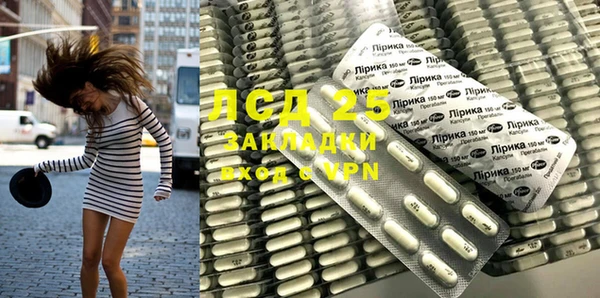 ПСИЛОЦИБИНОВЫЕ ГРИБЫ Абаза