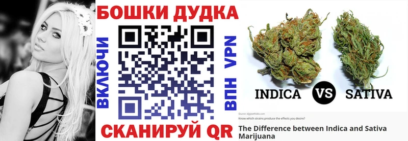 ОМГ ОМГ ТОР  Нолинск  Бошки марихуана Amnesia 